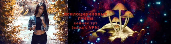 СК Алзамай