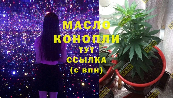 СК Алзамай
