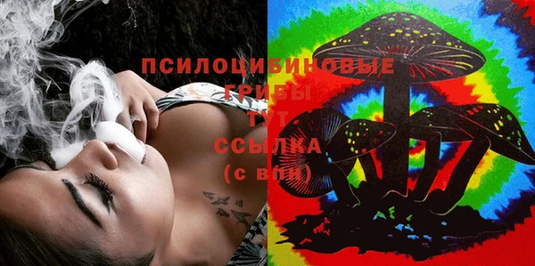 молекула духа Алексеевка