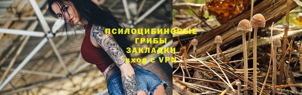 молекула духа Алексеевка
