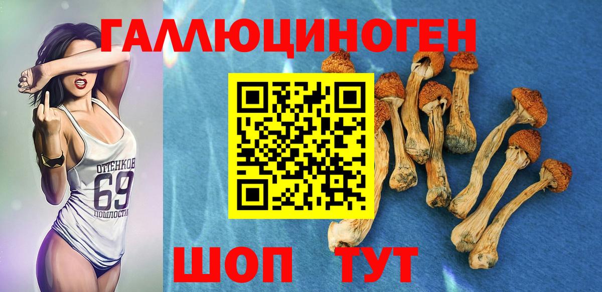 Алексеевка  Псилоцибиновые грибы Magic Shrooms  Вход с VPN  Галлюциногенные грибы ЛСД 